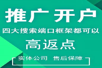 深度解读：百度推广运营的五大成功案例